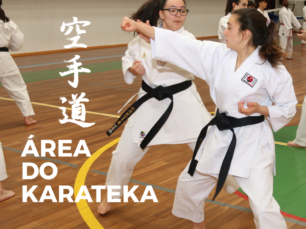 Área do Karateka